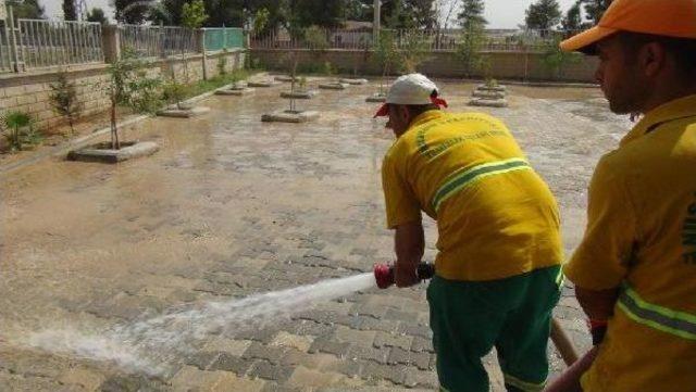 Nusaybin'de Belediye Bütün Okulların Bahçelerini Temizledi