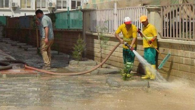 Nusaybin'de Belediye Bütün Okulların Bahçelerini Temizledi