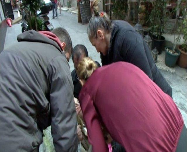 Şizofreni Anne Kızını Tanıyamadı