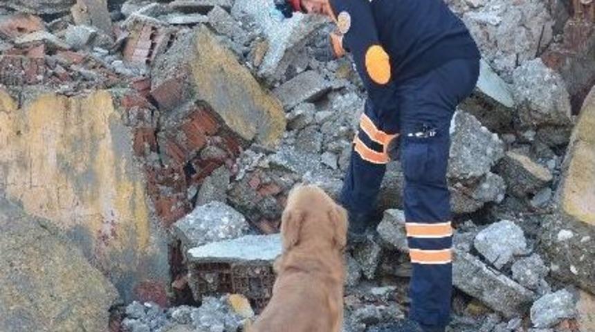 Sokaklardan Kurtulup Arama-kurtarma K&ouml;peği Oldular