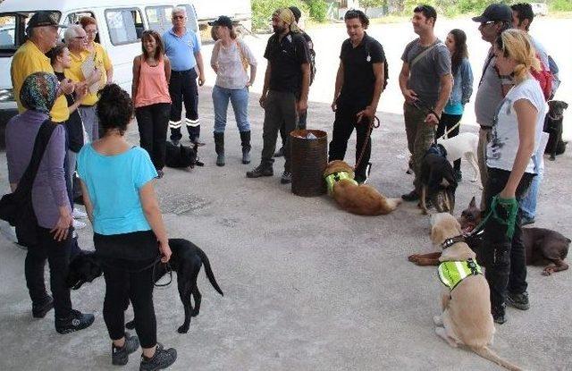 Sokaklardan Kurtulup Arama-kurtarma K&ouml;peği Oldular 1
