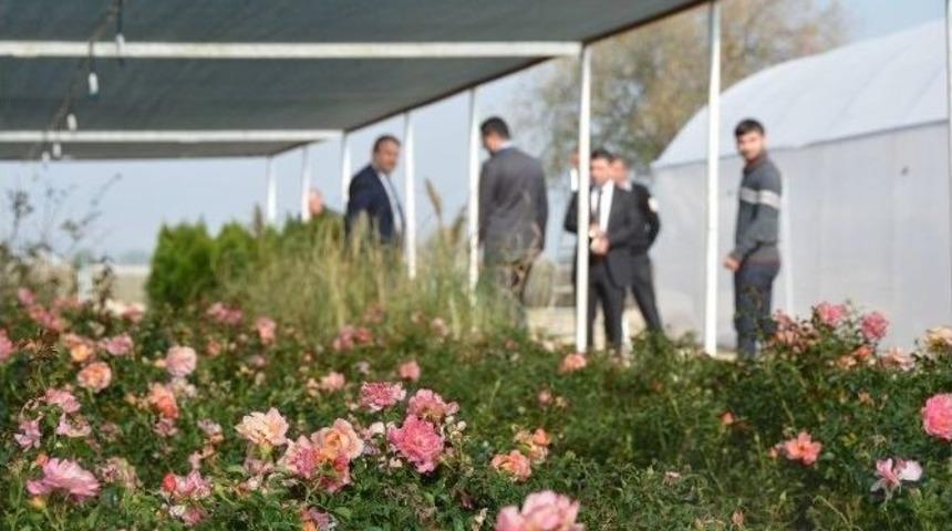 Kendi &Ccedil;i&ccedil;ek Ve Bitkilerini &Uuml;retecekler