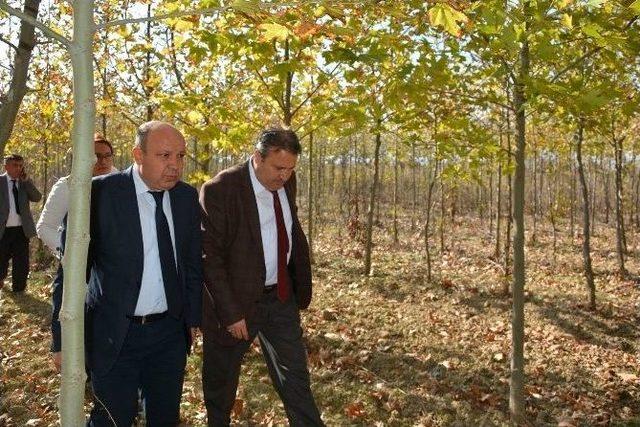 Kendi &Ccedil;i&ccedil;ek Ve Bitkilerini &Uuml;retecekler 1