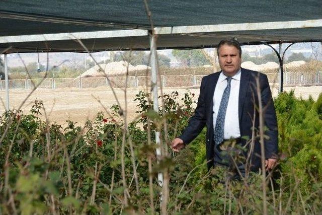 Kendi &Ccedil;i&ccedil;ek Ve Bitkilerini &Uuml;retecekler 2