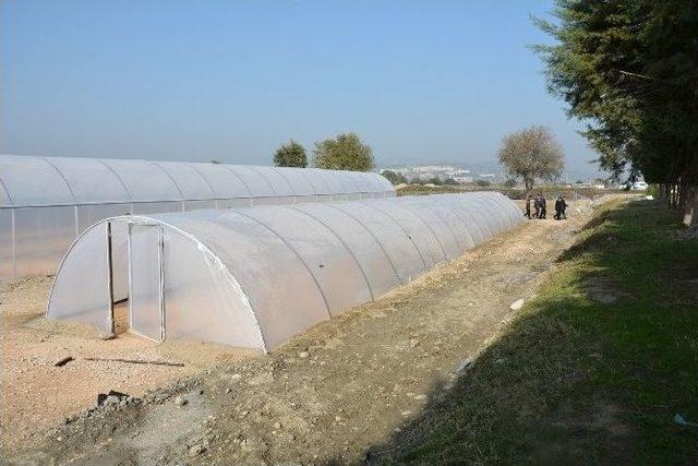 Kendi &Ccedil;i&ccedil;ek Ve Bitkilerini &Uuml;retecekler 3