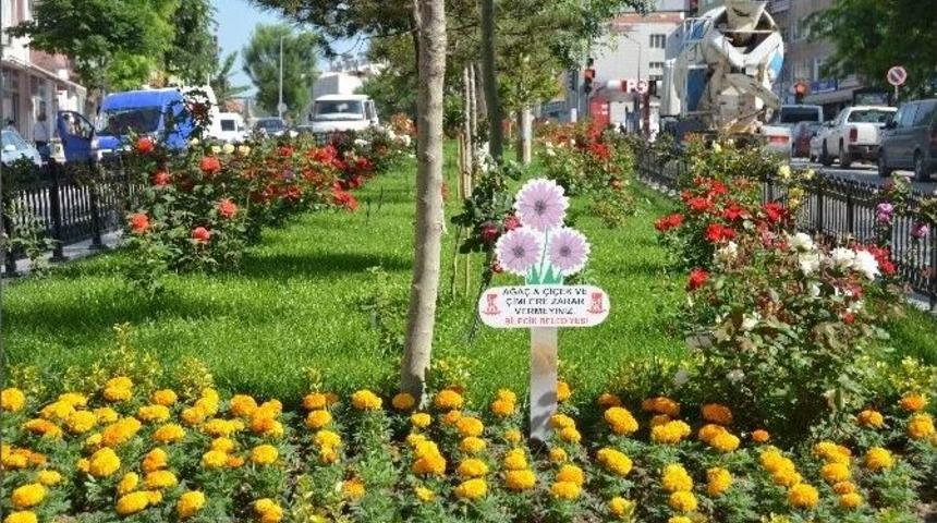 Bilecik Rengarenk &Ccedil;i&ccedil;eklerle Donatılıyor