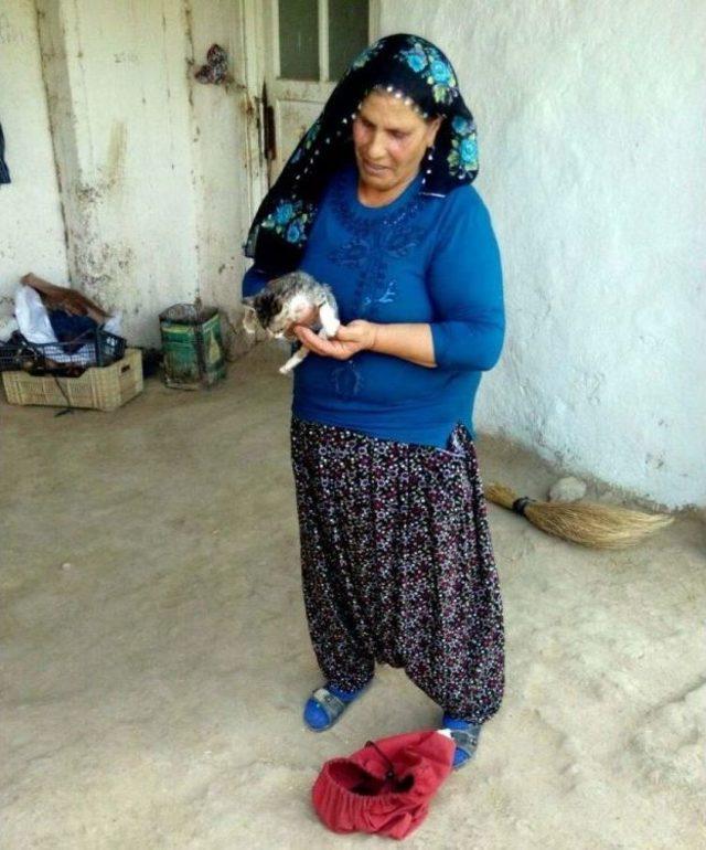 Su Kuyusuna D&uuml;şen Kediyi İtfaiye Kurtardı 1