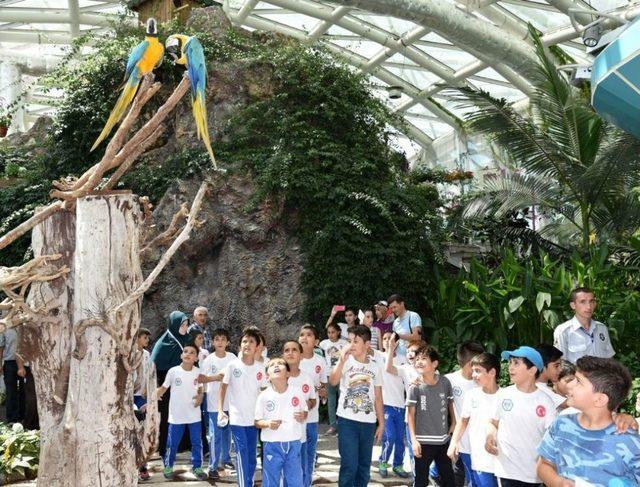 Başkan Altay: "gen&ccedil;lere Ve &Ccedil;ocuklara Y&ouml;nelik &Ccedil;alışmalarımız Devam Edecek" 1