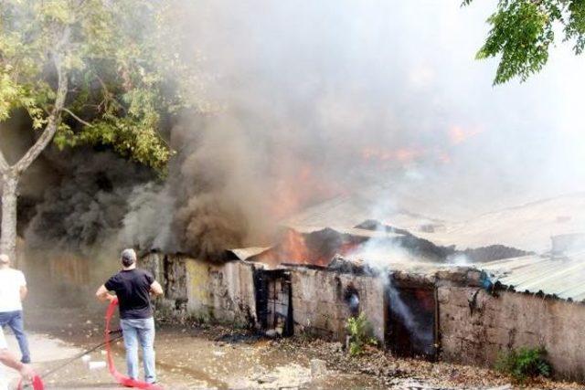 Suriyeliler'in Kaldığı Evdeki Yangın, Bitişik Evlere Sıçradı (2)