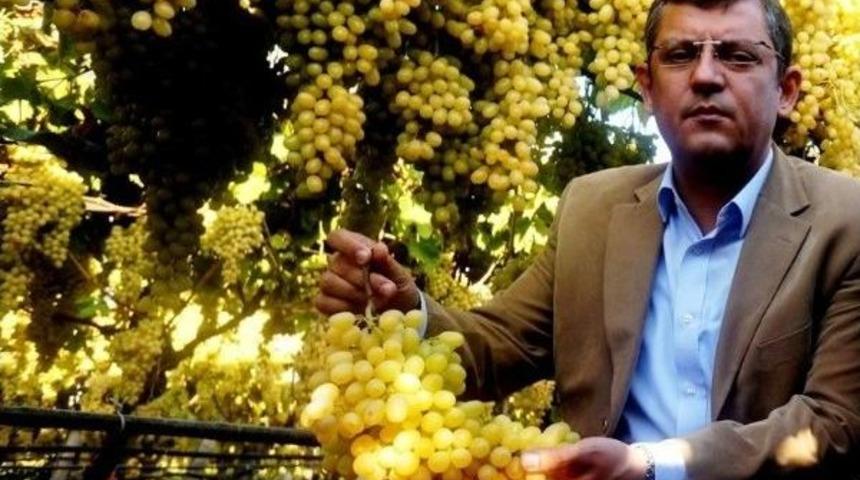 Chp&rsquo;li &Ouml;zel: &Uuml;z&uuml;m &Uuml;reticisine Kredi Verilmeli