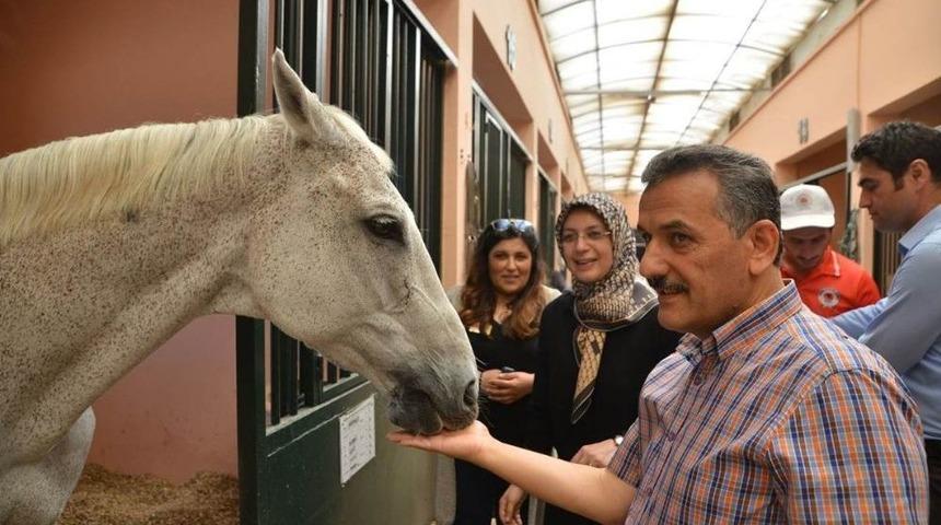 Vali Kaymak, B&uuml;y&uuml;kşehir Belediyesi Atlı Spor Tesislerini Gezdi