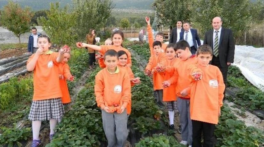 K&uuml;tahya&rsquo;da &rsquo;&ccedil;ocuk Tarım Kampı&rsquo; Tamamlandı