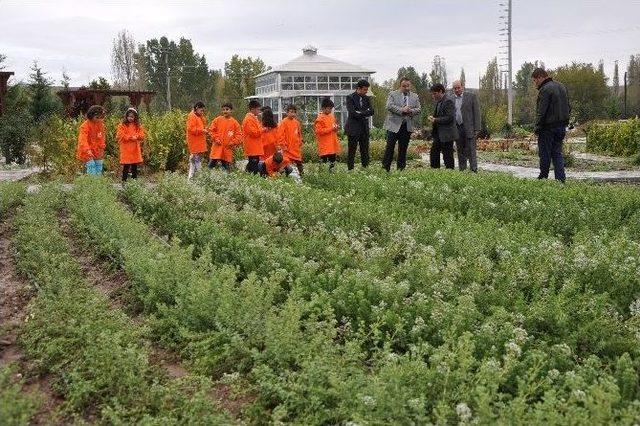 Kütahya’da ’çocuk Tarım Kampı’ Tamamlandı