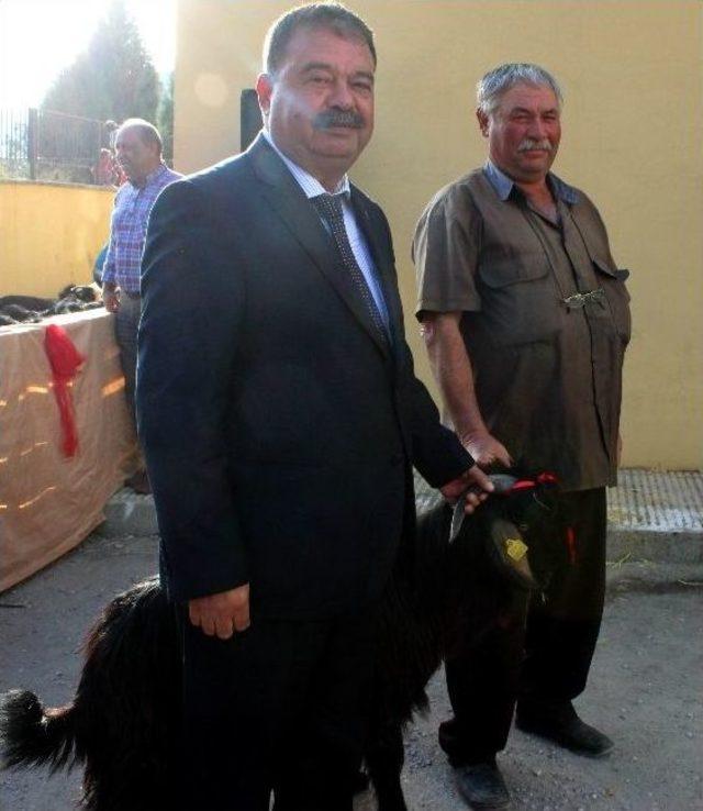 &Uuml;reticiye 95 Kıl Ke&ccedil;isi Dağıtıldı 3