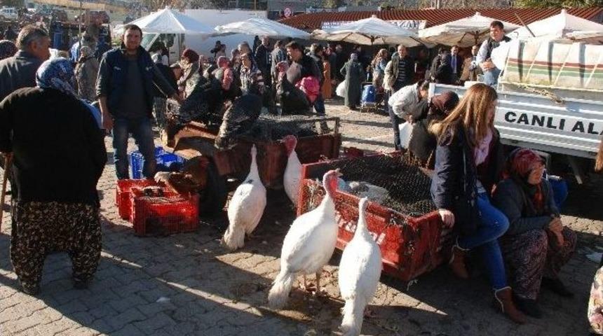 Hindiler El Yakıyor