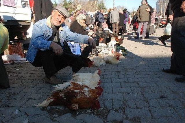 Hindiler El Yakıyor 1