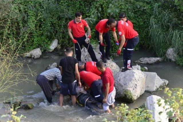 18 Saat Kurtarılmayı Bekledi