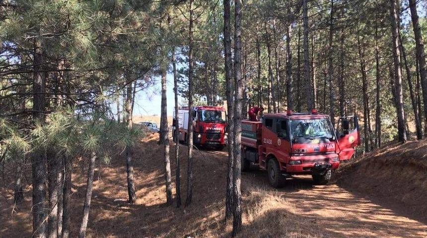 Bing&ouml;l&rsquo;de &Ccedil;amlık Yangını