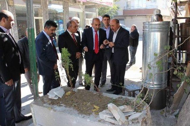 Şüheda Mezarlarının Bakımı Yapıldı