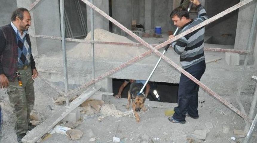 İnşaatın Bodrum Katına D&uuml;şen K&ouml;peği İtfaiye Kurtardı