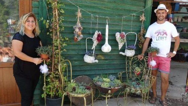 Edremit'te 'neşeli Kaktüs' Festivali