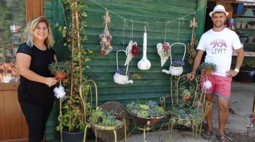 Edremit'te 'neşeli Kakt&uuml;s' Festivali