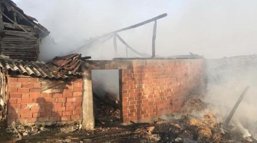 Ahır Yandı, Bir Hayvan Telef Oldu