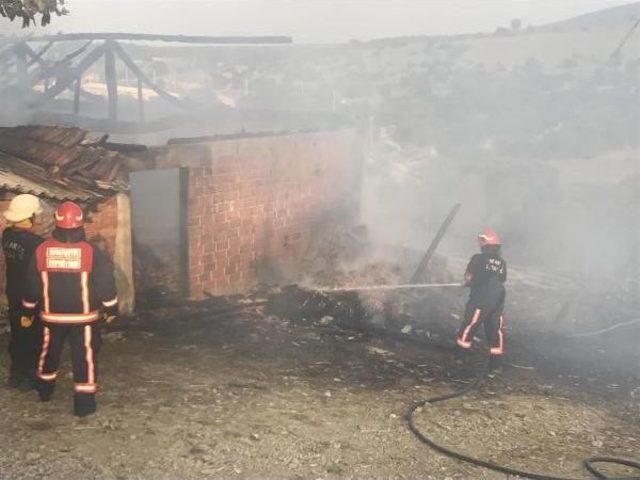 Ahır Yandı, Bir Hayvan Telef Oldu 1