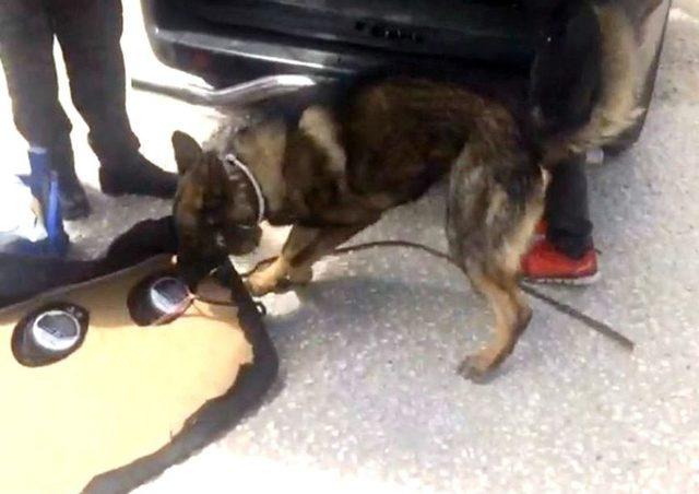 İ&ccedil;i Yakıt Dolu Otomobilin Deposunda 10 Kilogram Esrar Ele Ge&ccedil;irildi 1