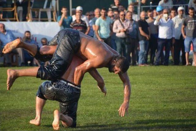 Bandırma da Yağlı G&uuml;reş Festivali Yapıldı 1