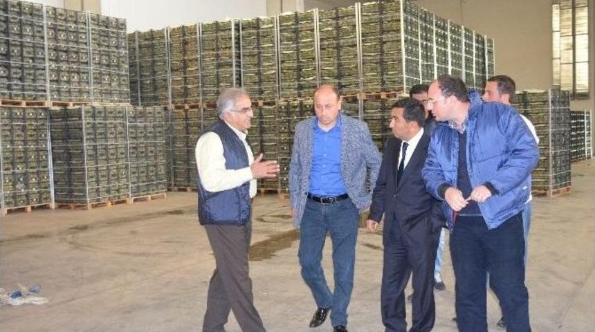 Sel&ccedil;uk&rsquo;un Başkanvekili Başterzi, Emin Konuştu