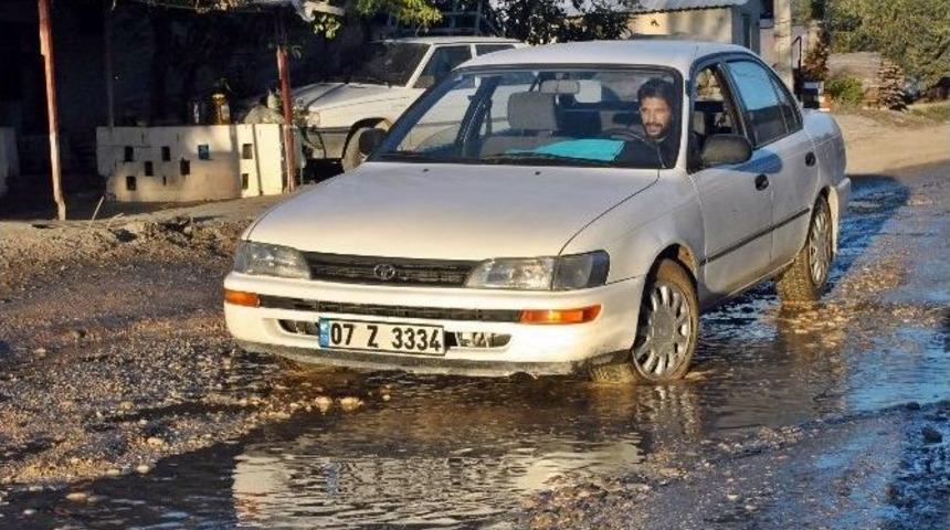 K&ouml;stebek Yuvası Yollar, S&uuml;r&uuml;c&uuml;lere Cambazlık &Ouml;ğretiyor