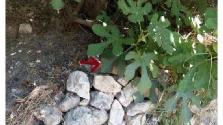 İzmir'e Sanal Hazine