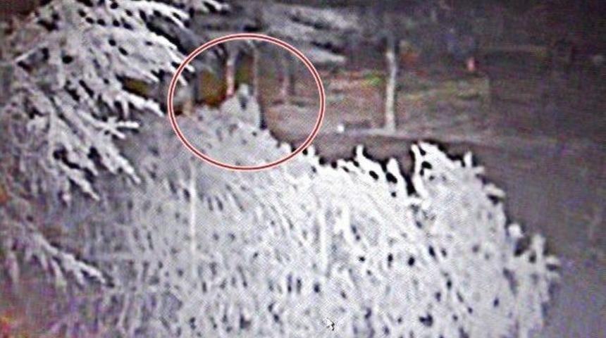 (&ouml;zel Haber) Dehşet Sa&ccedil;tı Kamerayı G&ouml;r&uuml;nce Ka&ccedil;tı