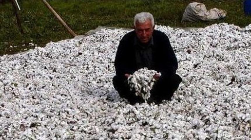 "&ccedil;ukobirlik &Uuml;r&uuml;n Alamıyor, Hizmet Veremiyor" İddiası