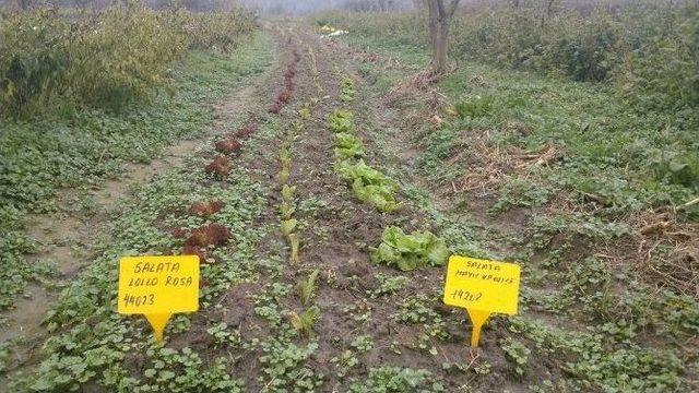 Kartepe Heyeti Ekoköyleri Keşfe Gitti