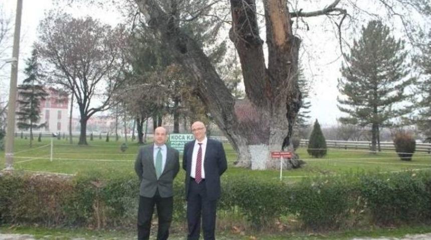 Alman Avukat 20 Yıl Sonra Kaymakam Arkadaşını Buldu