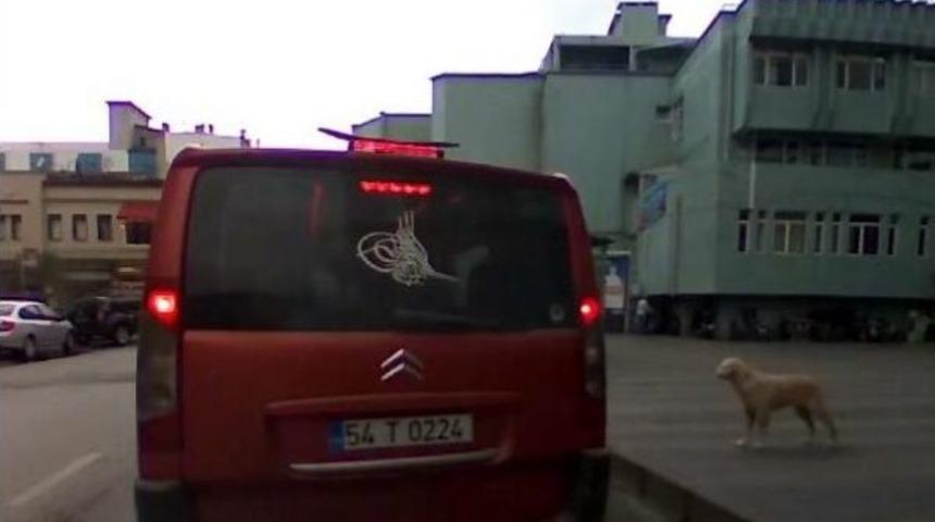 B&ouml;yle Yolcu G&ouml;r&uuml;lmedi