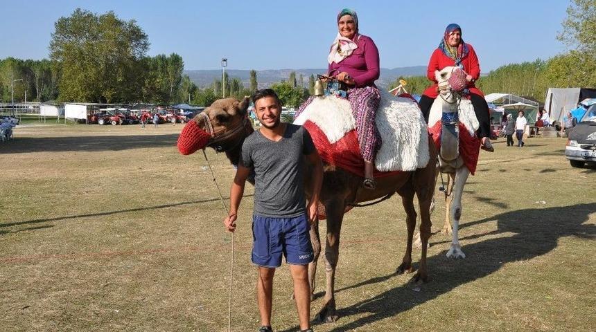 Simav&rsquo;da Deve Turları