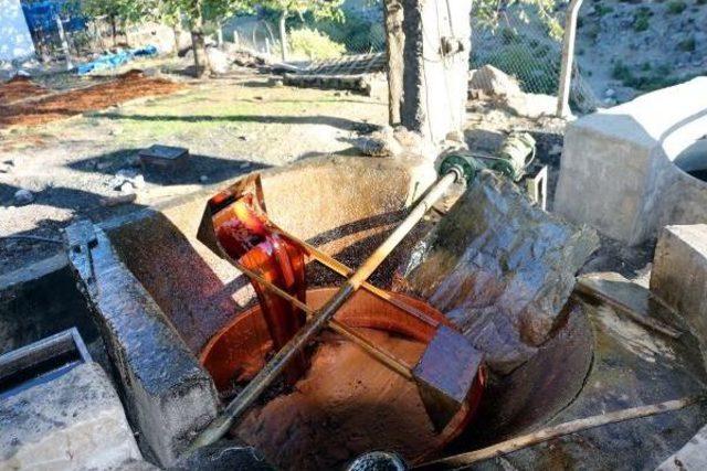 Hatay'da Pekmez Zamanı