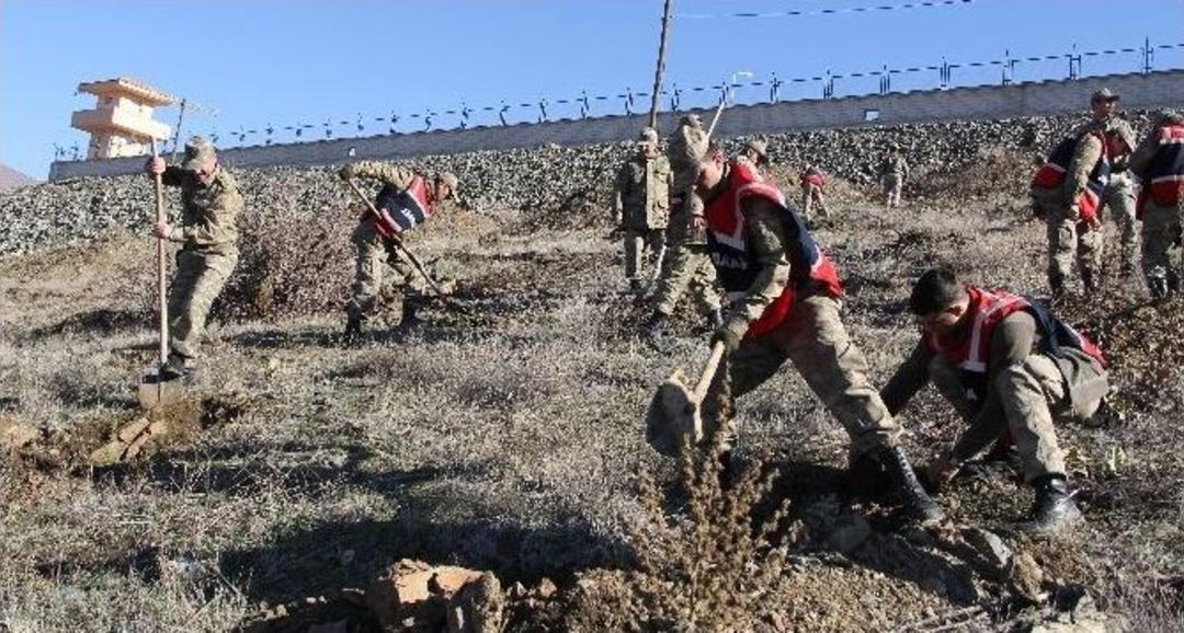 Mehmet&ccedil;ik Fidan Dikti