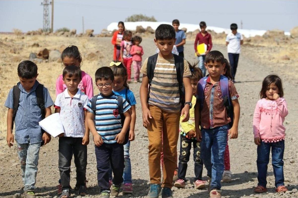 Bu Okulun Yolu D&uuml;z Gitmiyor