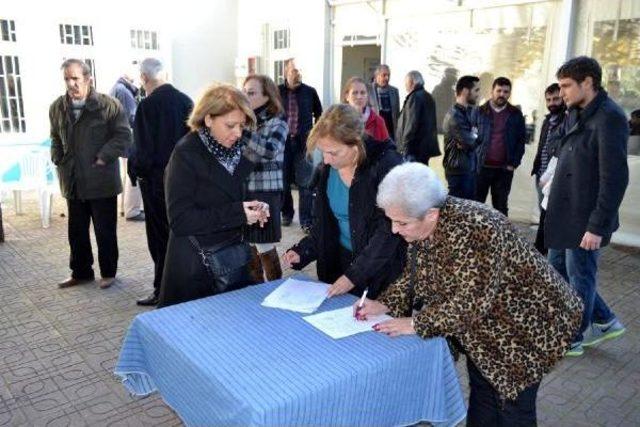 Yalova Platformu Ağaç Kesimini Protesto Etti