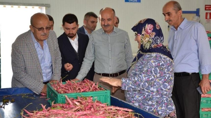 M&uuml;ezzinoğlu: &ldquo;iznik D&uuml;nyaya Lezzet Dağıtıyor&rdquo;