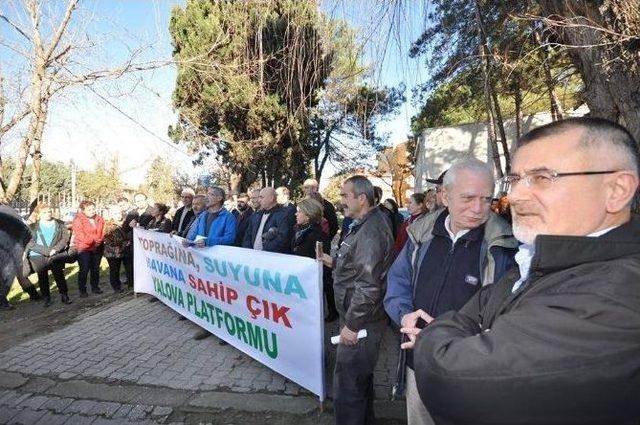 Yalova’da Yeni Bir Ağaç Katliamına Tepki