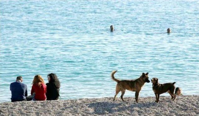 Antalya'da Güneşi Gören Sahile Koştu