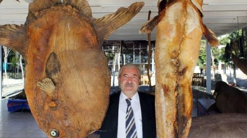 Deniz Canlıları M&uuml;zesi&rsquo;ne Yoğun İlgi