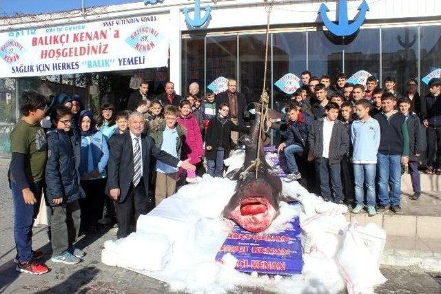 Deniz Canlıları Müzesi’ne Yoğun İlgi