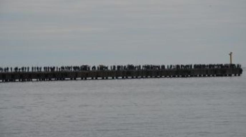 Fatsa İskelesinde Olta Balık&ccedil;ılığı Keyfi