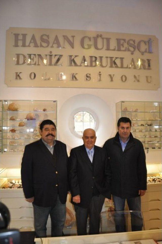 Hasan G&uuml;leş&ccedil;i Koleksiyonunu Bodrum Deniz M&uuml;zesi&rsquo;ne Bağışladı 2